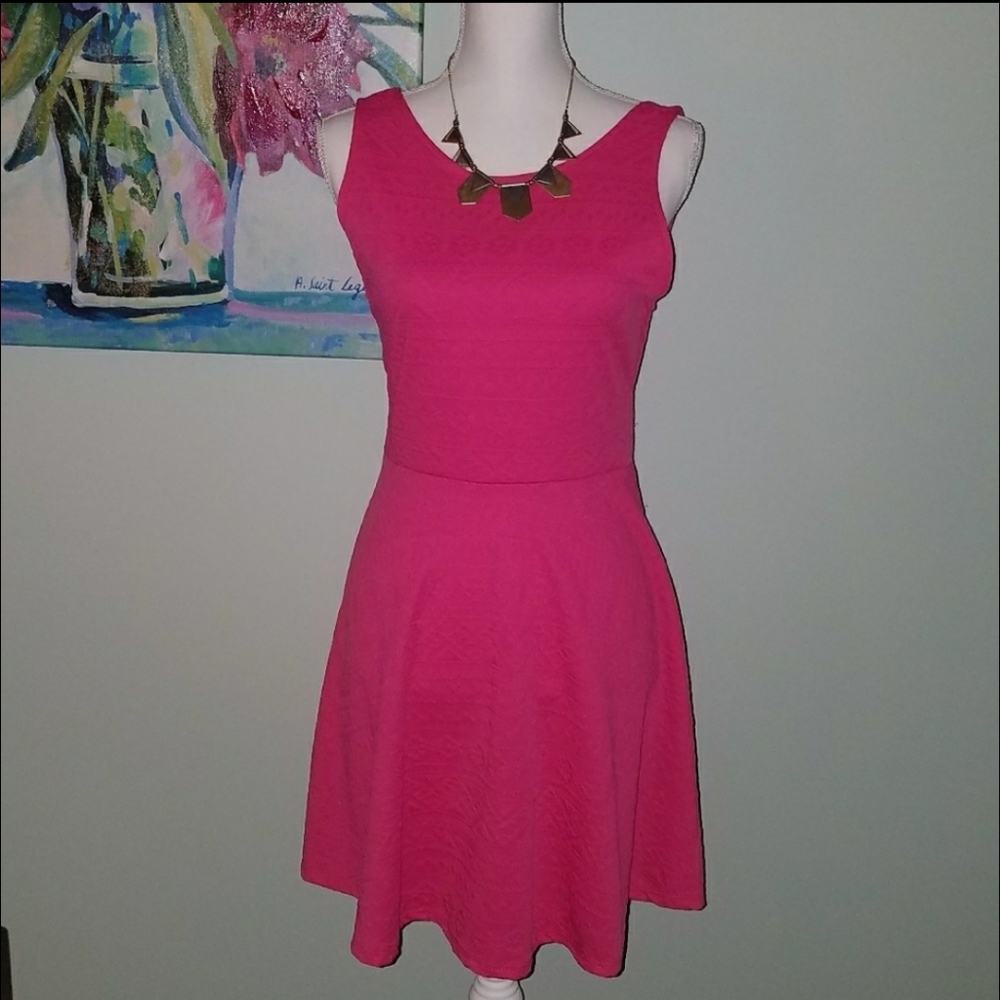 🍍Ginger G M Pink Embossed Skater Dress Nwt